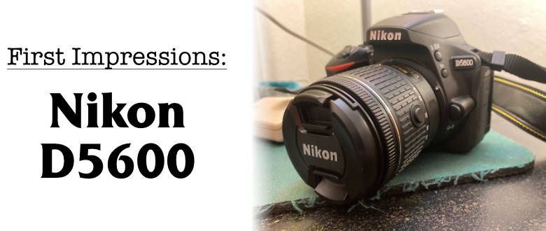Nikon D5600: First impressions